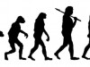 The Prophet Adam and Human Evolution